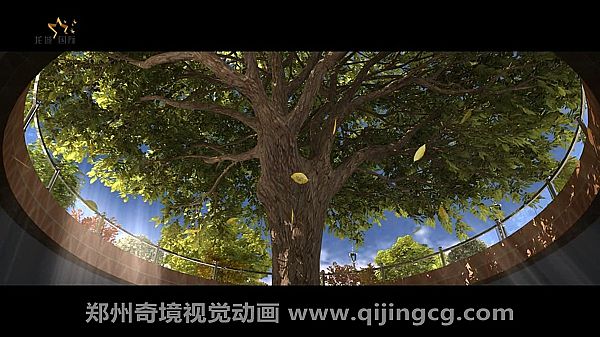 ������Ǉ��H�������S�Ӯ�3D����Ƭ{my:seotitle}