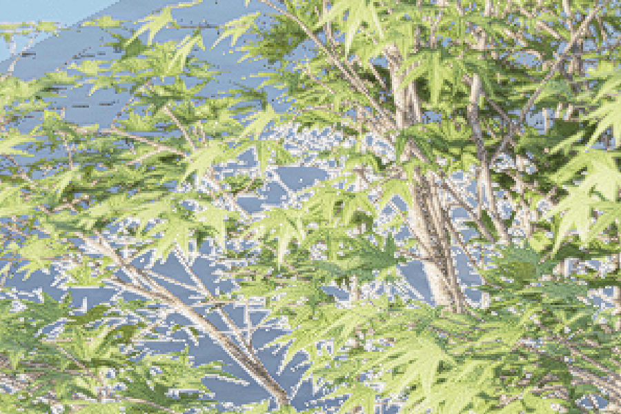 2473ac532f89a23d05fbfaaa7eb758c2447e26ef