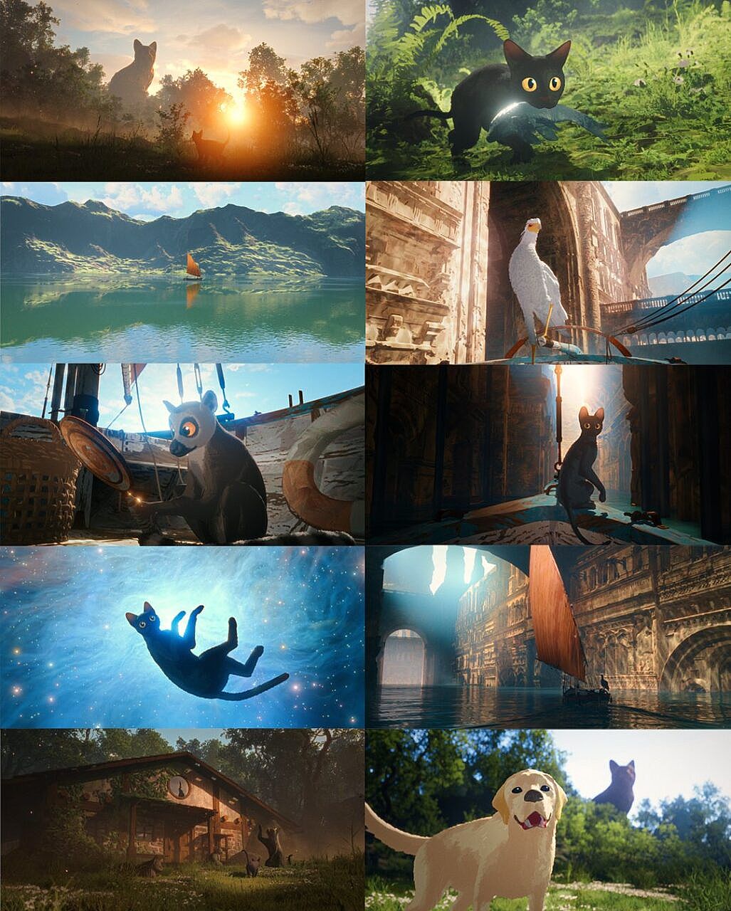 ���S�Ӯ��LƬ��Flow�����ݽ�˹・�R�����弾˹��Gints Zilbalodis�����L{my:seotitle}