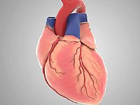 ���S�Ӯ�ҕ�l�������t(y��)���t(y��)�W�ИI(y��)�đ�(y��ng)�÷�������Щ��