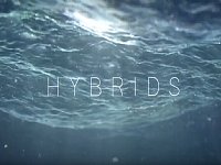 Hybrids���@���h(hu��n)������CG���S�Ӯ�3Dҕ�l��Ƭ���p